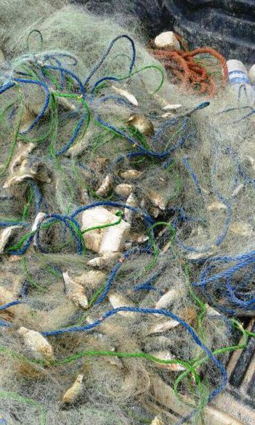 متخلفان صید غیرمجاز ماهی با جریان برق در آبادان دستگیر شدند