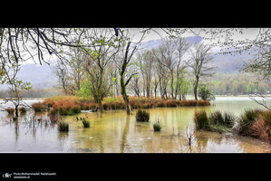 دریاچه آویدر نوشهر