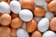 تشدید افزایش قیمت تخم مرغ/ دلیل شوک بزرگ تخم مرغی چه بود؟