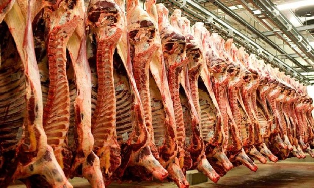 60 کانتینر گوشت هفته آینده در بازار مصرف عرضه می شود