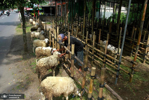 منتخب تصاویر امروز جهان - 15 تیر 1401