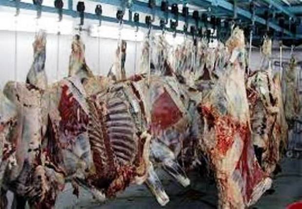 تصفیه خانه کشتارگاه دزفول 25 میلیارد ریال اعتبار نیاز دارد