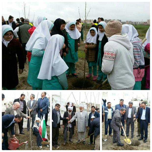 19 هزار اصله نهال در معابر شهری گنبدکاووس غرس می شود