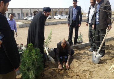 کاشت 1200 اصله درخت در بخش زواره و دهستان برزاوند اردستان