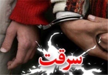 دستگیری یک موبایل قاپ با ۵۸ شاکی
