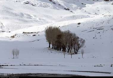 بیشترین بارش های 24 ساعت گذشته کشور در کوهرنگ گزارش شد