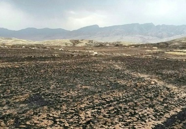 ماجرای آتش‌سوزی باغستان قزوین حل و فصل شد