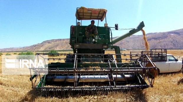 ۶۰۰ هزار تن گندم از کشاورزان کرمانشاهی خریداری می‌شود