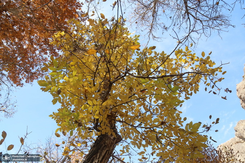 طبیعت پاییزی روستای اَوِل قم