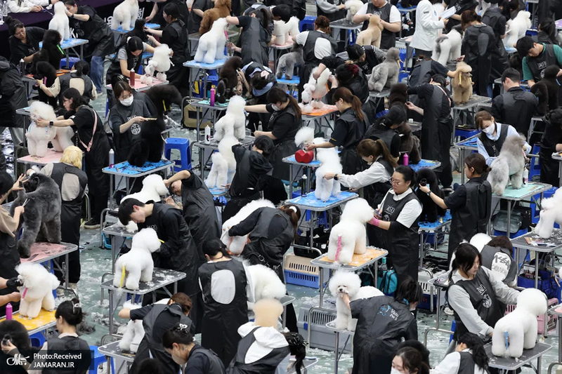 منتخب تصاویر امروز جهان - 24 و 25 اسفند 1403