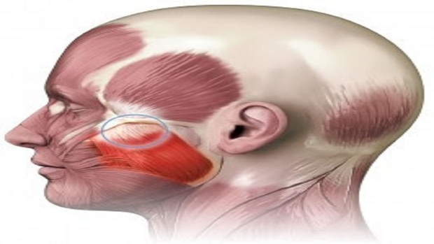 کشف عضوی ناشناخته در بدن انسان!
