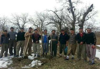 کاشت بلوط؛ تلاشی زیست محیطی از سوی جوانان روستای دره ناخی سروآباد
