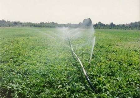 کشاورزان بروجردی 15درصد هزینه آبیاری تحت فشار را پرداخت می کنند