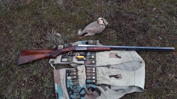 یک شکارچی متخلف پرندگان در سردشت دستگیر شد