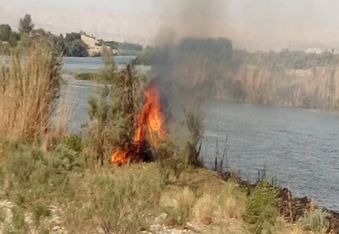 آتش سوزی منطقه حفاظت شده کارون در گتوند مهار شد