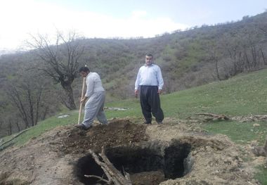 چند دهنه کوره زغال‌گیری در سروآباد تخریب شد