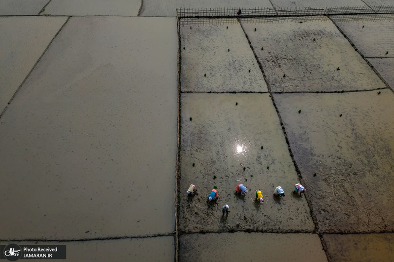 منتخب تصاویر امروز جهان - 23 بهمن 1403