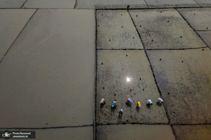 منتخب تصاویر امروز جهان - 23 بهمن 1403