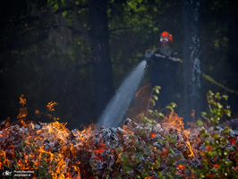 منتخب تصاویر امروز جهان - 30 خرداد 1401