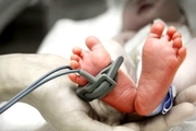 طی یکسال گذشته 14هزار نوزاد در جنوب کرمان متولد شد