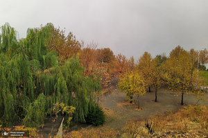 پاییز در ارتفاعات شهرک شهید محلاتی