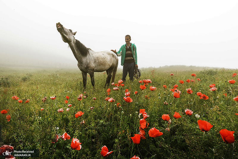 منتخب تصاویر امروز جهان- 7 اردیبهشت 1400