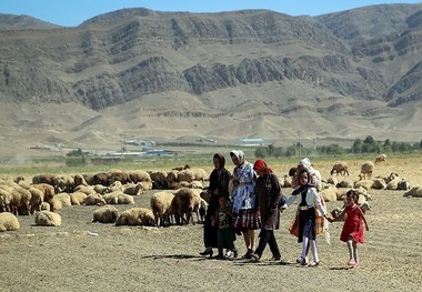 32 درصد خانوارهای عشایری خراسان شمالی بیمه اجتماعی شدند