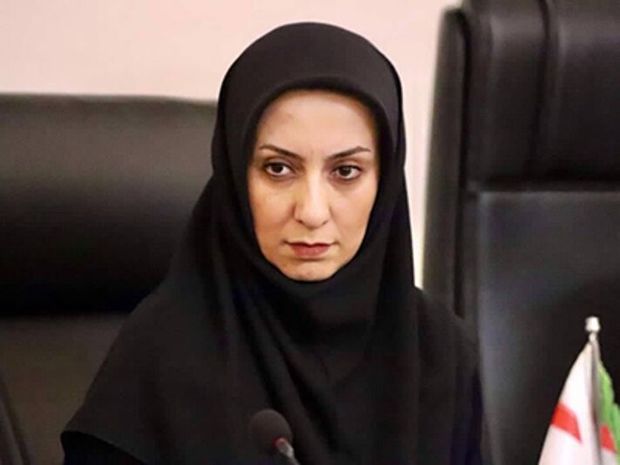 قزوین میزبان نشست کمیسیون های فرهنگی شورای شهرهای غرب کشور می‌شود