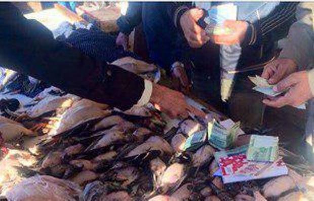 محیط زیست مازندران بساط بازار فروش پرندگان را در فریدونکنار جمع کرد