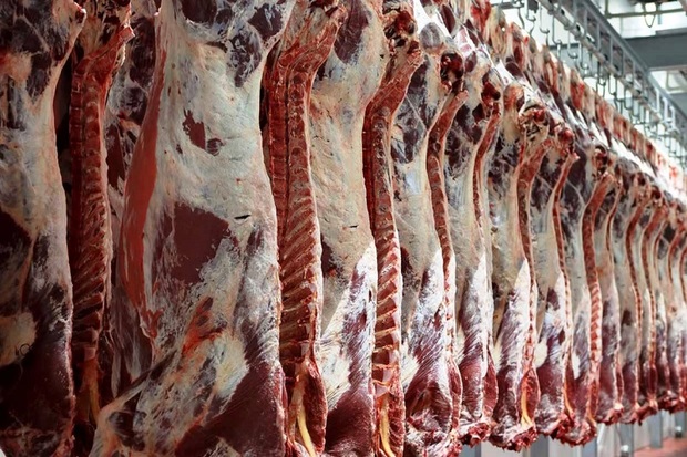 561 تن گوشت در آذربایجان غربی ذخیره شده است