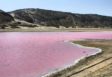 تالاب صورتی چابهار جاذبه ای شگفت انگیر در سواحل مَکُّران