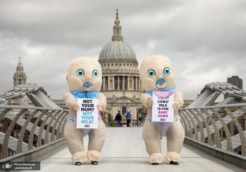 منتخب تصاویر امروز جهان- 1 شهریور