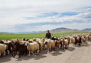 جشنواره ملی کوچ عشایر به میزبانی شهرستان خلخال برگزار می‌شود