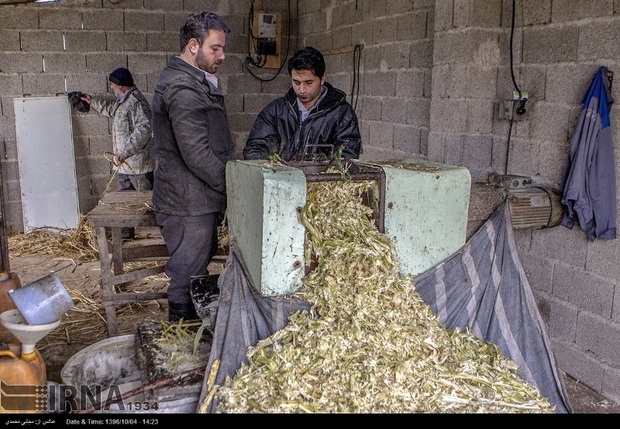 بیش ازهشت هزار درخواست در سامانه کارا کرمان ثبت شد