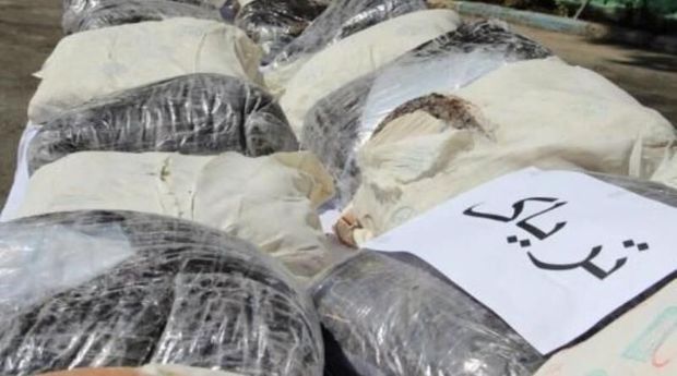 دریابانی استان بوشهر پنج تن مواد مخدر کشف کرد