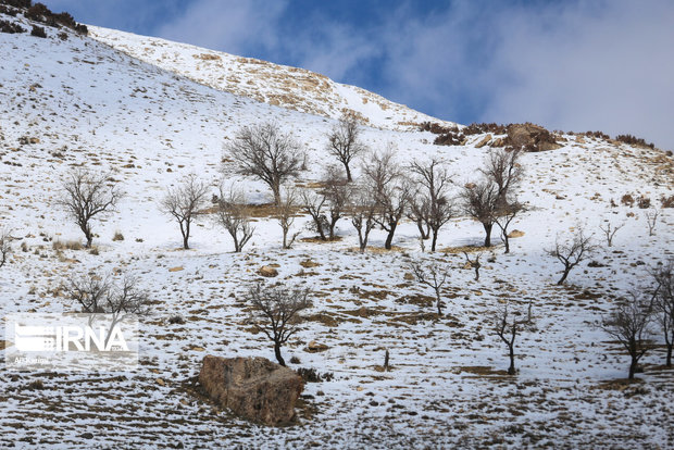 برف و یخبندان به مناطق کوهستانی گلستان می‌رسد