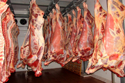 واردات گوشت تا زمان متعادل شدن بازار ادامه دارد