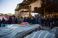 تصاویری از سقوط بالگرد ارتش در «درچه» اصفهان (6)