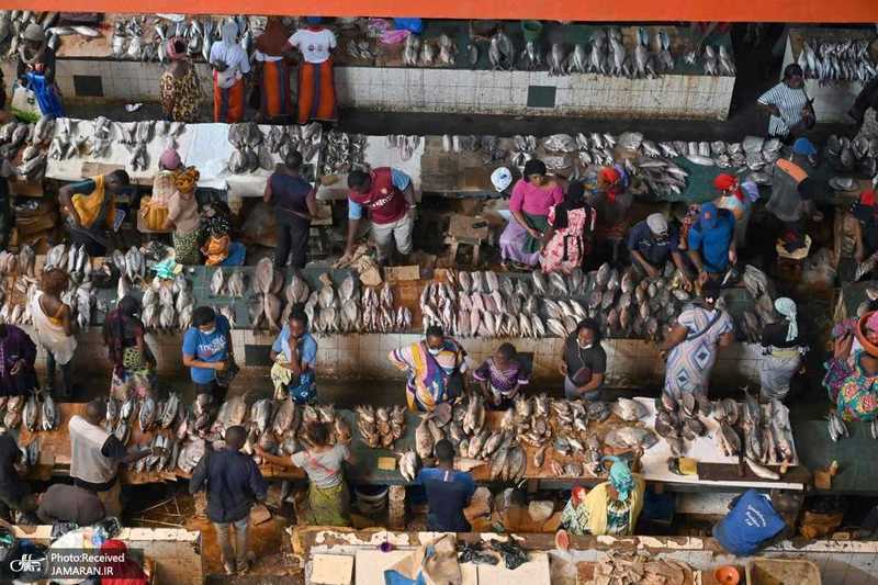 منتخب تصاویر امروز جهان- 22 تیر