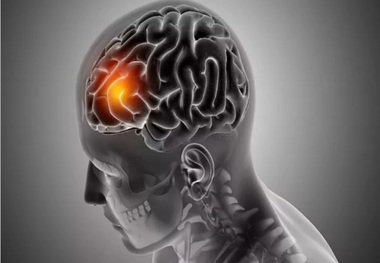 مغز چگونه خاطرات را ذخیره می‌کند؟

