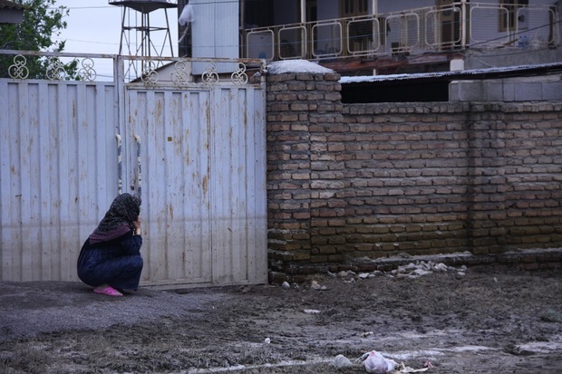 سیل ؛ بوی بهار ، مثل بهار نارنج