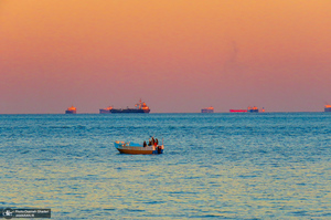 پارک زیتون قشم