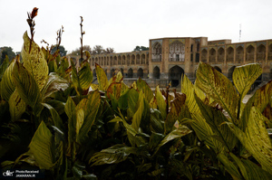 منتخب تصاویر امروز جهان- 9 آذر