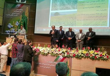 سازمان جهاد کشاورزی استان کرمانشاه سه عنوان برتر کشوری کسب کرد
