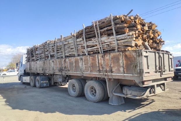 ۲۵ تن چوب قاچاق در سرپل‌ذهاب کشف شد