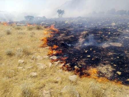 60 هکتار از مراتع تالاب هامون در آتش سوخت