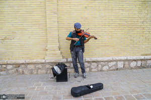 باغ عفیف آباد شیراز