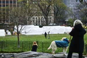 منتخب تصاویر امروز جهان- 12 فروردین