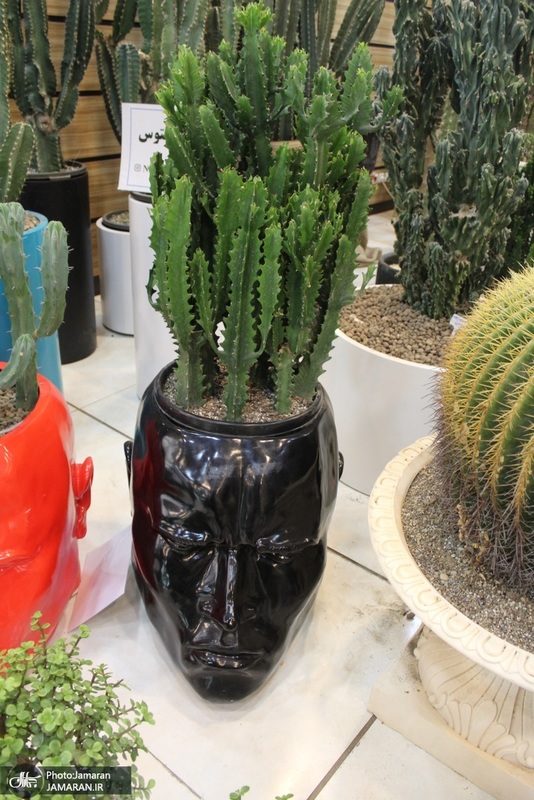 نمایشگاه گل و گیاه (76)