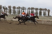 رقابت 59 راس اسب در هفته ششم کورس پاییزه گنبدکاووس